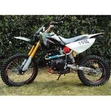 110cc/125ccdirt Bike Cheap Price Zc-Y-308