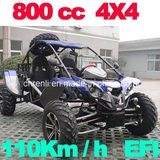 Beach Buggy 800CC 4x4 (RL800)