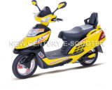 Electric Scooter (NC-49)