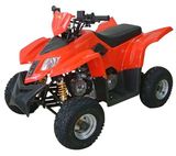 110CC ATV (T-110D)