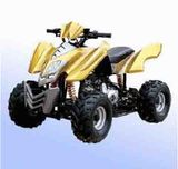 110CC ATV (RN-A110-C)