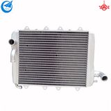 Motorcycle Radiator for Piaggio Tuono