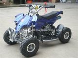 6 Color Can Chooseed 49cc Sport ATV Quads Et-Atvquad-10