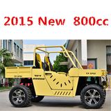 4 Wheel Drive UTV (DMU800-04)