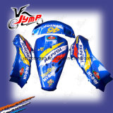 Motorcycle Plastic Products-Dio Motorcycle Plastic Paited Covers