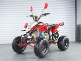 250CC EEC ATV (XY-250EC-05)