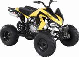 110CC Electric Start ATV (YHXA312)