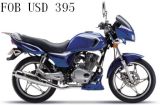 Suzuki Motorcycle (EN)