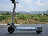 New Product Comfortable Electric Scooter /City Scooter (SJEBSTB-8796)