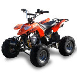 50cc Small Kids Racing Quad ATV (MDL GA002-5)