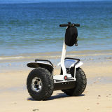 2014 Powerful off Road 2 Wheel Electric Chariot