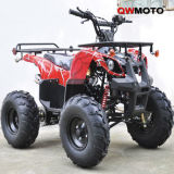 110CC/125CC Hunter ATV for Kids with Racks (QWATV-02C)