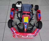 Cheap Price Mini Go Cart