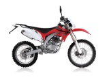 250CC Dirt Bike (GBTD10-250A)