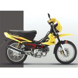 Eec Approved Cub (BD110-7)