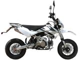 Pit Bike 125CC ( CM-R7L-1)