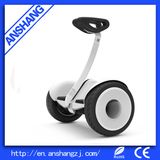 Hot Sale Standing off-Road Electric Vehicle/Scooter