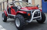 Junter 650CC Buggy (WBBUG-650)