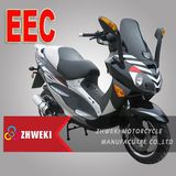 Motor Scooter (ZW50QT-8 ( EEC APPROVAL ))