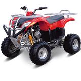 Air-Cooled, 110cc, Single-Cylinder, 4-Stroke Quad (DP-ATV110-B)