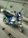 Mini Boby Funny Design Hot Sell Moped Motorcycle