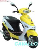 EEC Scooter (SMC50QT-B)