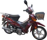 Motorcycle (GW70Q-9)