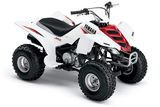 ATV/Mini Quad (HQ-GS-125ST)