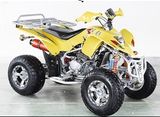 200CC Water Cooled-Model 2007 with EEC