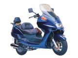 Scooter (ACE150T-6)