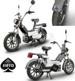 The Best Popular Cheap 35cc Moped