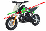 CE Approved Mini Dirt Bike (DMD50-01)