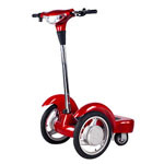 Electric Bicycle (ZLEB-04)