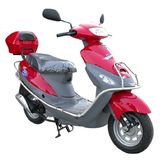 Scooter (KD50QT-4)