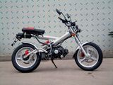 Dirt Bike (YJDT-50B)