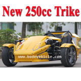 3 Wheeler EEC Racing ATV 250cc