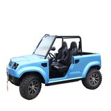 EEC Approved 800cc UTV (DMU800-01)