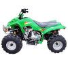 ATV (T-110 with CE)