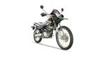 Dirt Bike (SL250GY-7)