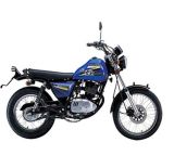Dirt Motorcycle (QM125GY-2D)