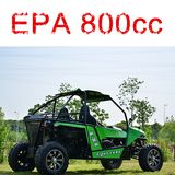 800cc 4X4 Buggy / UTV (DMB800-01)