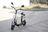 EEC Type 800W Scooter (ES8002)