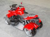 EEC Stability Racing Quad 250cc