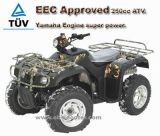 New Design Sport ATV 250cc