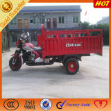 Hot Selling for 3 Wheeled Cargo Truck