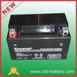 12V7ah Ytx7a-BS-Mf Maintenance-Free Motorcycle Battery