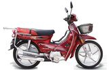 110CC-125CC CUB