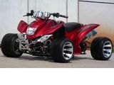 New EEC, COC ATV, Quad (ATV-250CC-NEW)