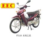 CUB Bike (FT100)