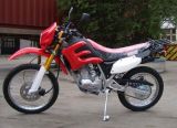 Dirt Bike (CY-DB200-5)  200cc, 150cc, 4 Strock